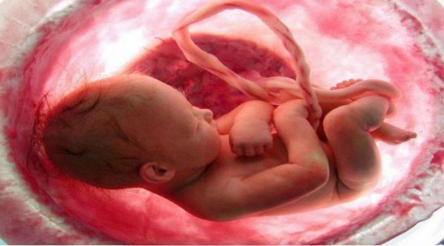 9 Απίστευτα Πράγματα που Κάνουν τα Έμβρυα!